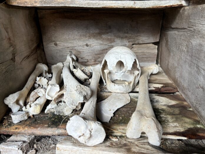 Skeleton Cave in Himalaya